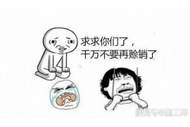 滦平债务清欠服务